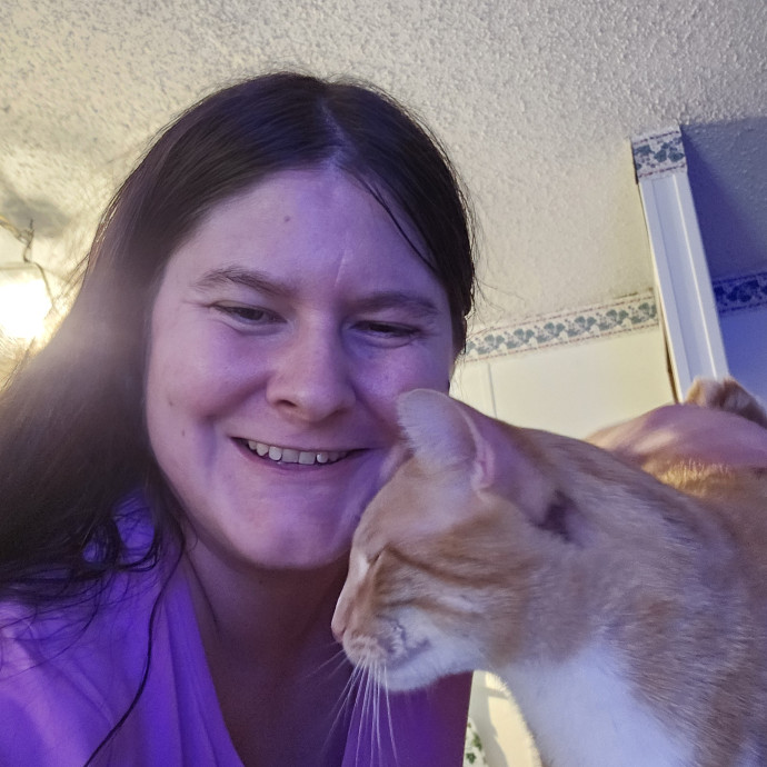 Halley's Marvelous Cat Sitting Service Halley's Marvelous Cat Sitting Service