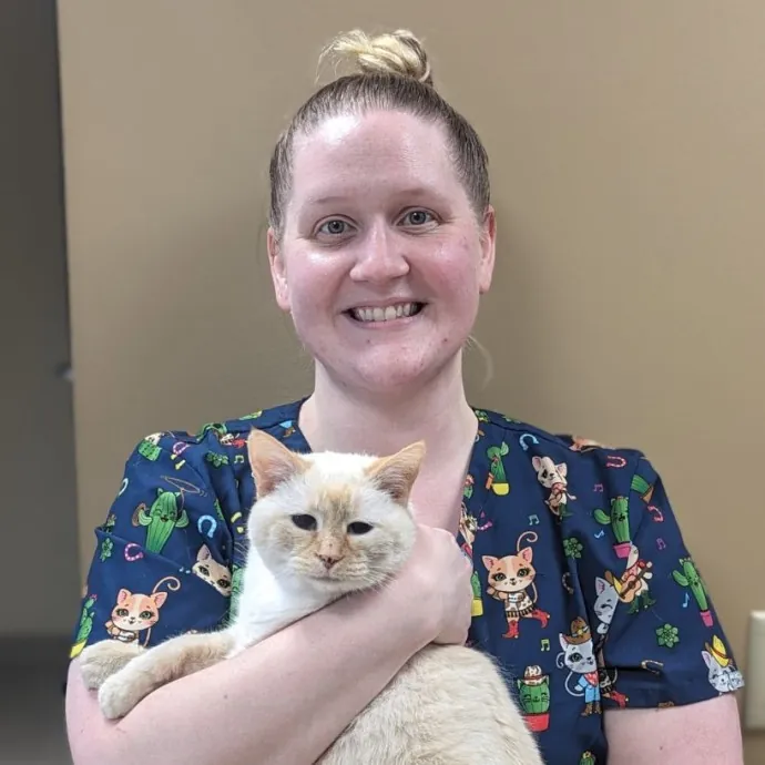 Jess' Love For Cats Sitting Service