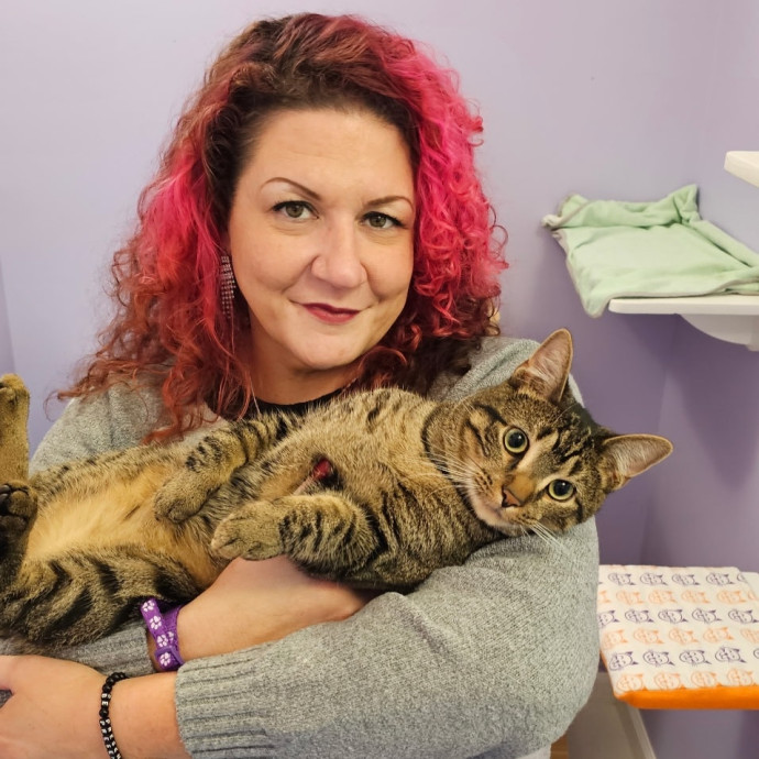 Professional Kitty Concierge For Hire