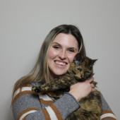 Experienced Owner And Lover Of 4 Cats