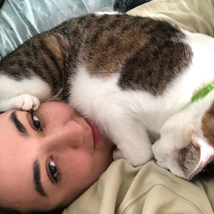 Certified Cat Cuddler Certified Cat Cuddler