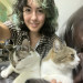 Cats Are My Friends