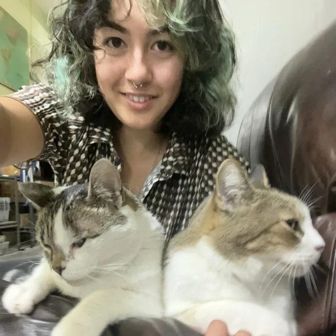 Cats Are My Friends