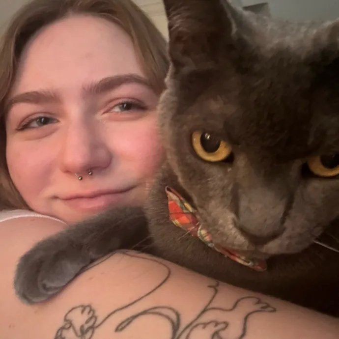 Building My Cat Network