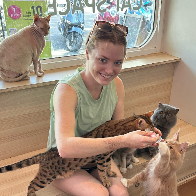 Professional Communicative Cat Lover Professional Communicative Cat Lover