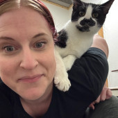 Your Kitty's New Bestie 