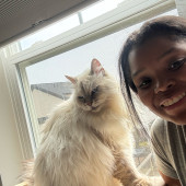 Your Cats Next Best Friend