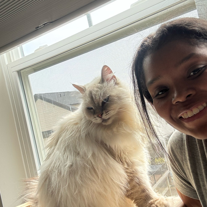 Your Cats Next Best Friend
