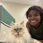 Your Cats Next Best Friend