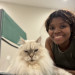Your Cats Next Best Friend