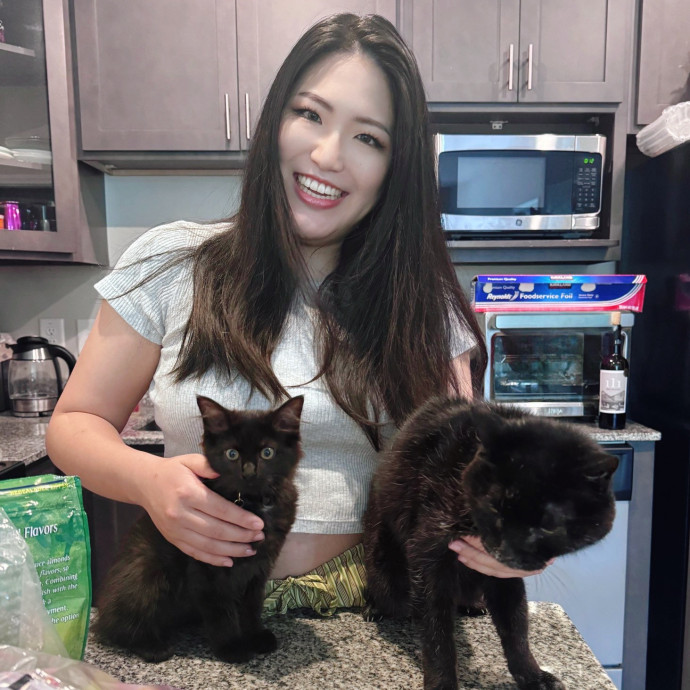 Senior Cat Tested Senior Cat Approved