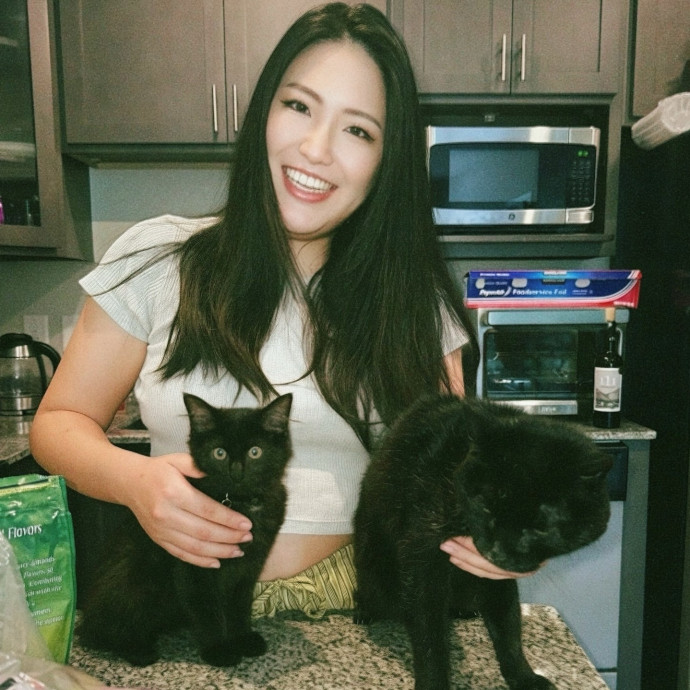 Your Purrfect Local Cat Sitter