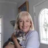 Feline Wisdom Heart-Led Cat Care