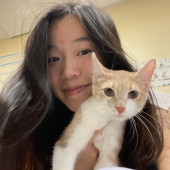 Friendly Cat Mom Of 4  Past Foster