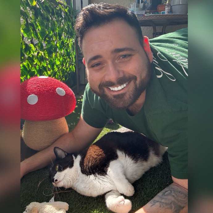 Calm Reliable Care For Your Cat