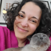 Purr Joy Cat Sitting In Fort Collins Co