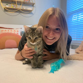 Lifelong Cat Lover And Trusted Sitter