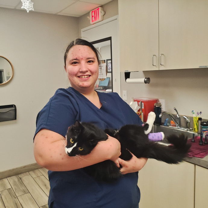 Licensed Vet Tech Loves Cats