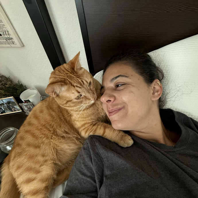 Your Cats New Bestie
