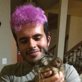 Happy Cats Happy Homes