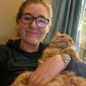 Experienced Cat Sitter