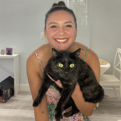 Miami Beach Reliable Cat Sitter