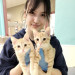 Cat Sitter- Overnight Or Day Visits
