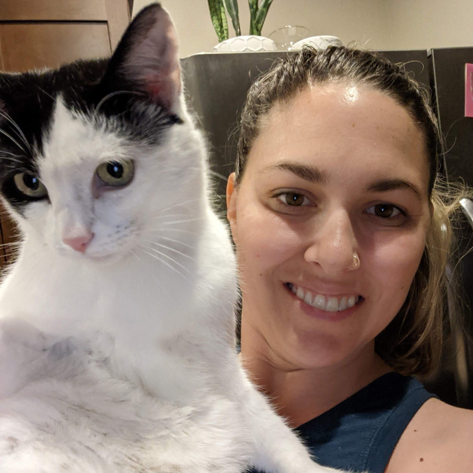 I Love Cats