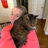 Stress-Free Loving Cat Sitter