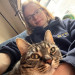 Kristen's Purrfect Cat-Sitting