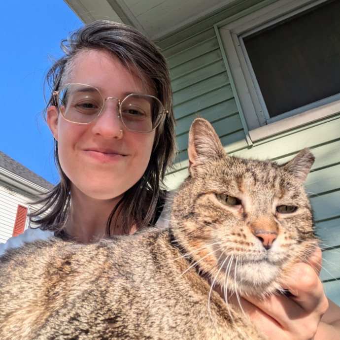 Consistent  Caring Cat Care