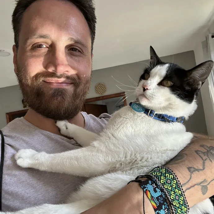 The Cat Of Cats
