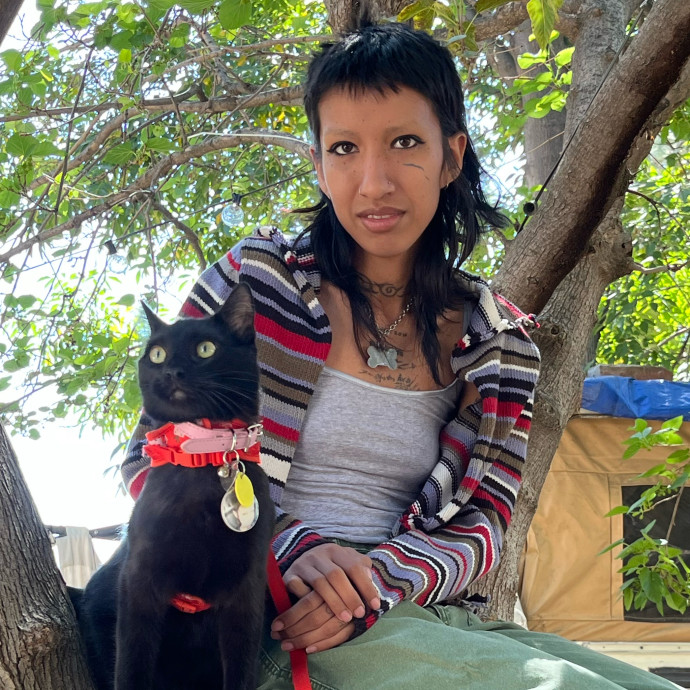 Purrfect Cat Care By Imogen