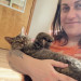 Your Next Cat Sitter