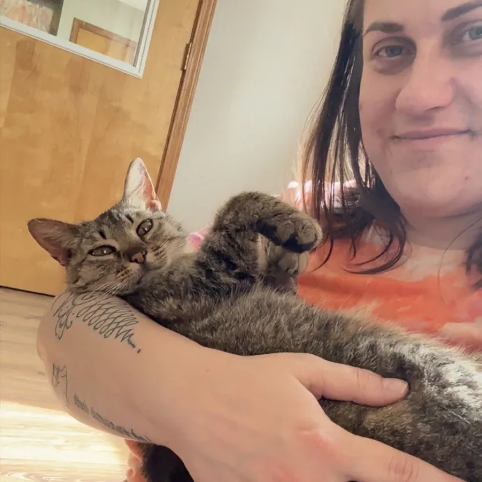 Your Next Cat Sitter