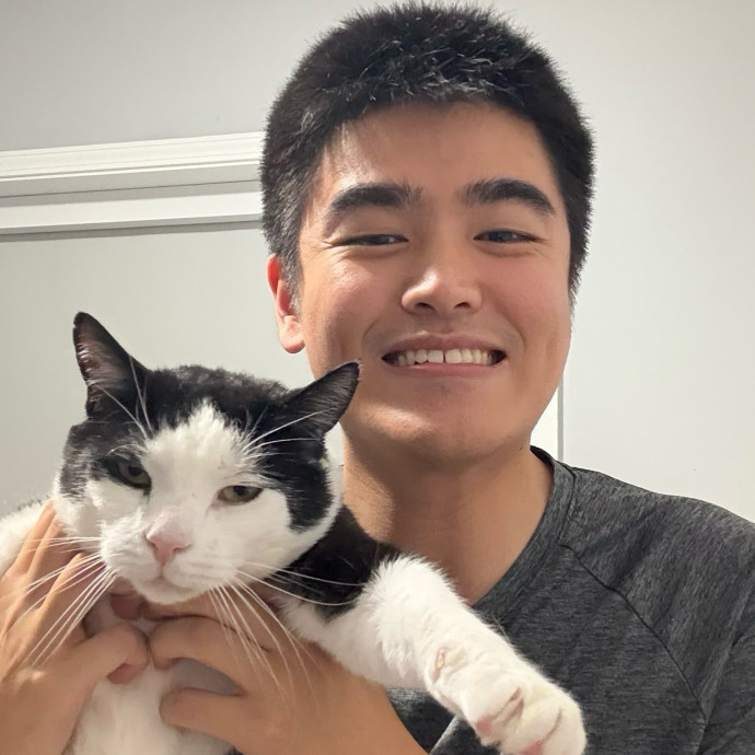 Your Cat's New Best Friend And Playmate