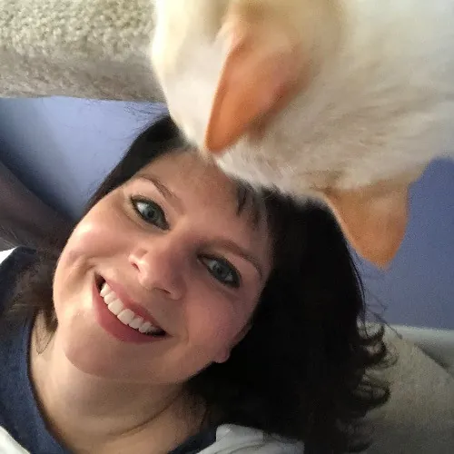 Paws And Purrs Kitty Sitting