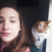 Calm Energy Clean Bowls Happy Cats