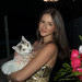 Experienced Cat Lover And Sitter