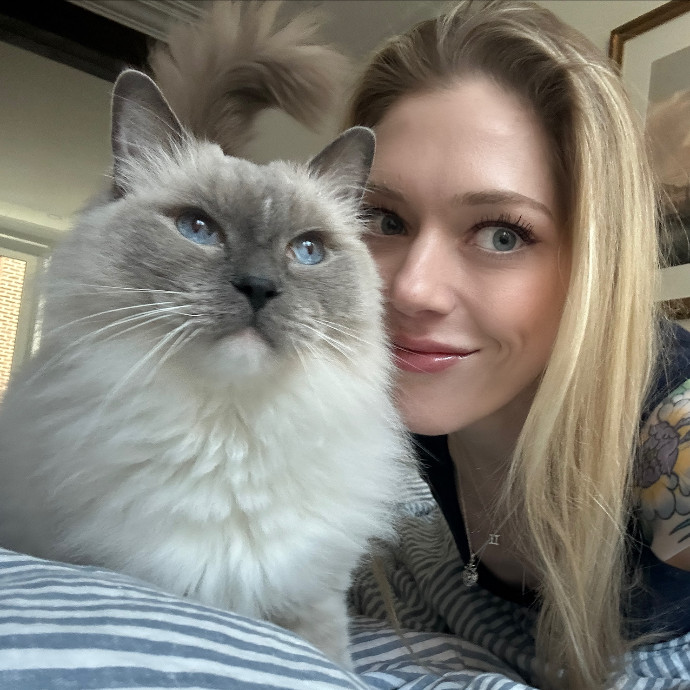 Floofy Friend For City Kitties Floofy Friend For City Kitties