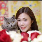 Experienced  Loving Cat Sitter