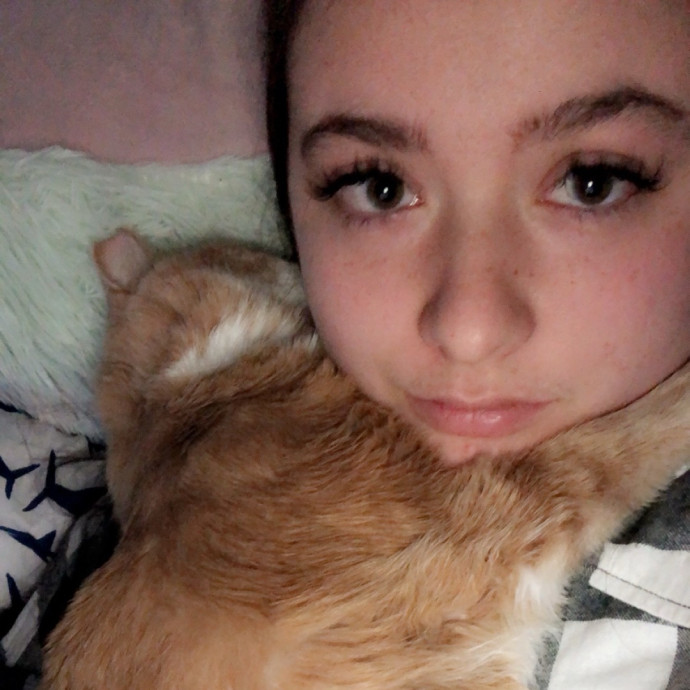Cat Mom Premium