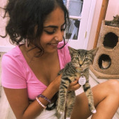 Purrfect Companion While You're Away