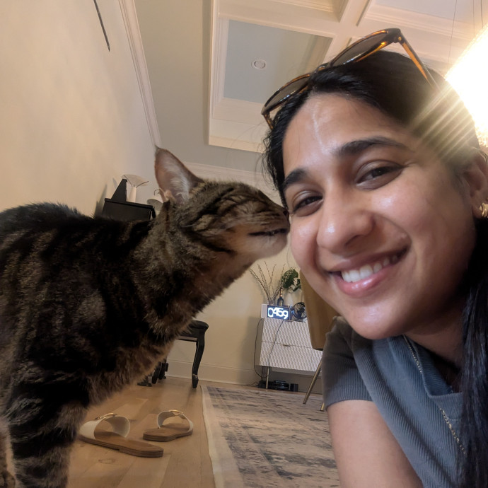 Your Cat's Safe Space