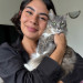 Cozy Kitty Care San Diego