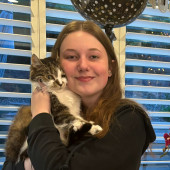 Purr-Fect Cat Companion