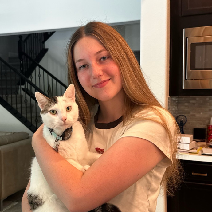 Purr-Fect Cat Companion