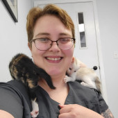 Cat Veterinary Technician