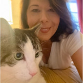 Christine's Mew York Kitty Sitting