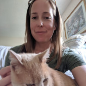 Everyday Is Caturday